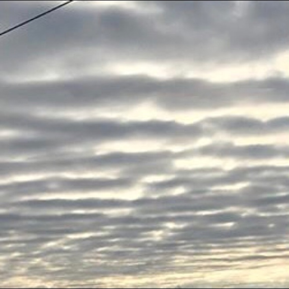 Meet your Posher, Lucas